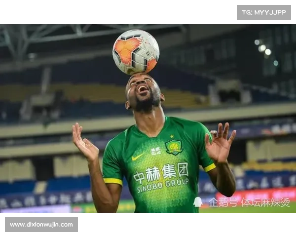 巴坎布荣任民主刚果共和国农业大使 引发各界关注